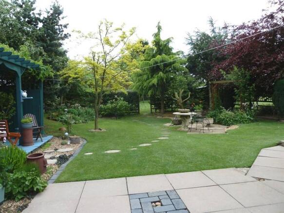 Photo 15
