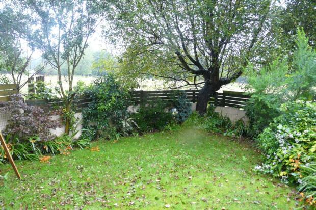 Back Garden