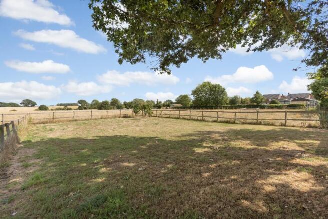 Orchard