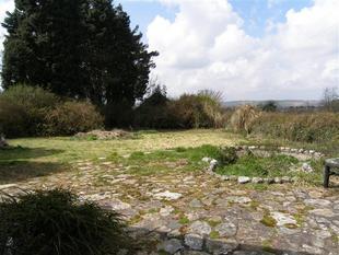 Side Garden