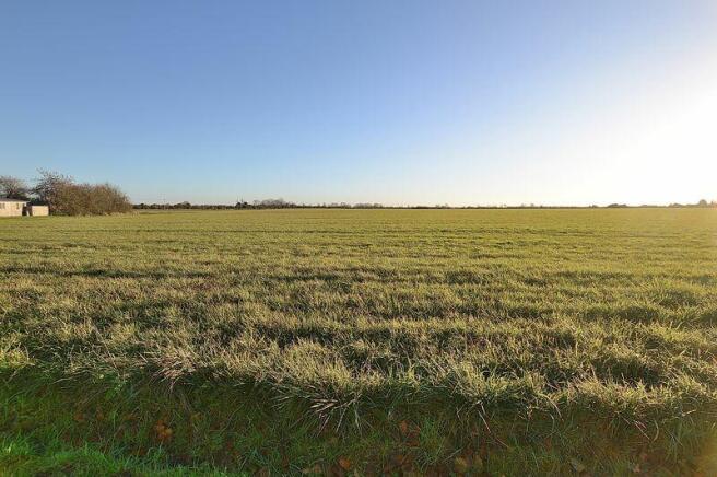 Rural views
