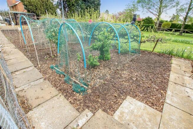 Garden (3).jpg
