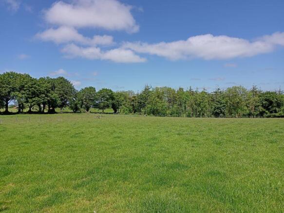 The Land