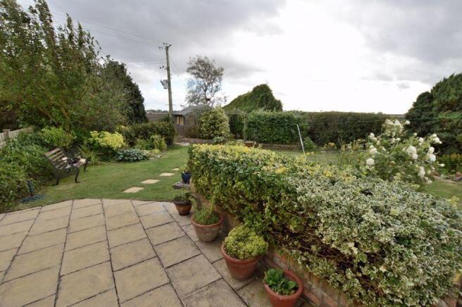 Patio Area