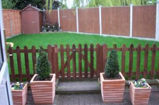 Rear garden pic 2