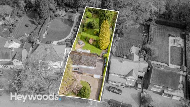 20240420-DJI_0143-Enhanced-SR - Copy