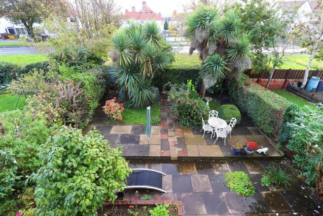 Back garden