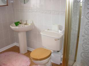 Ground Floor Shower
