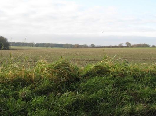 Nearby Countryside