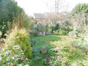 GARDEN 1