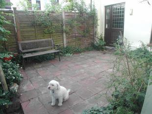 Photo 9