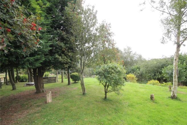 Far Rear Garden