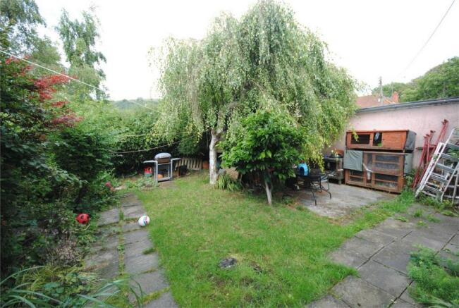 Photo 11