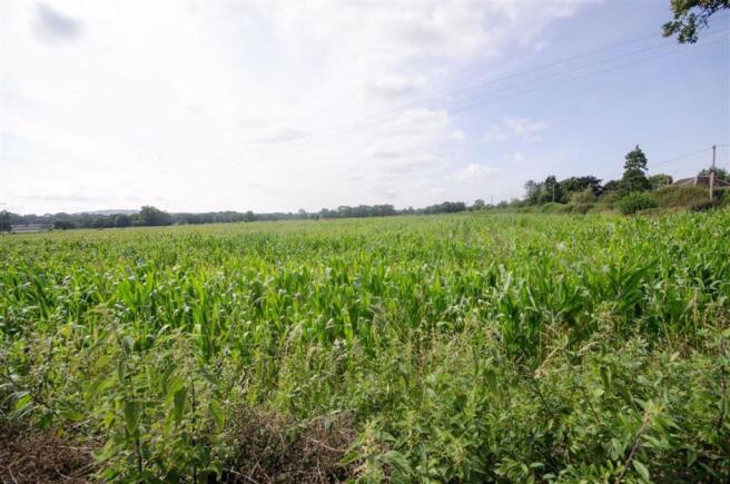 SURROUNDING COUNTRYSIDE