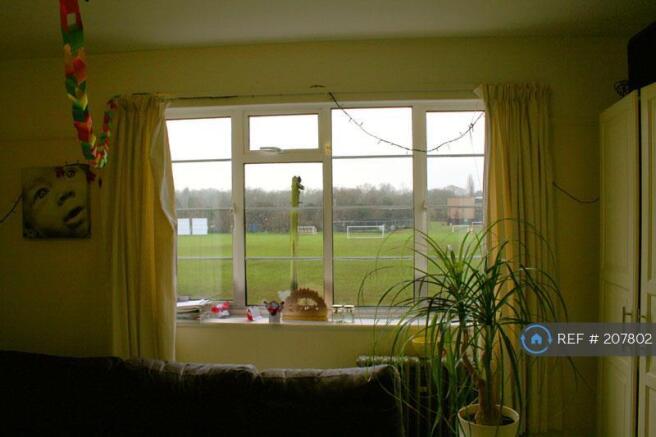 View From The Living Room