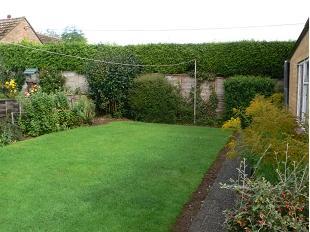 Garden,