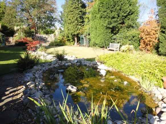 Pond