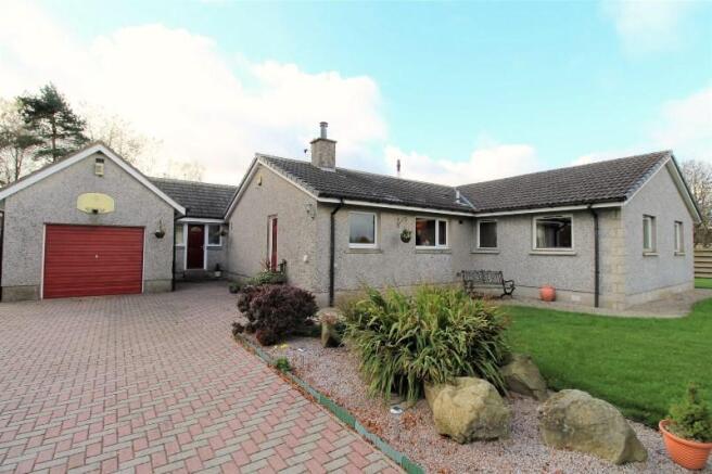 The Property
