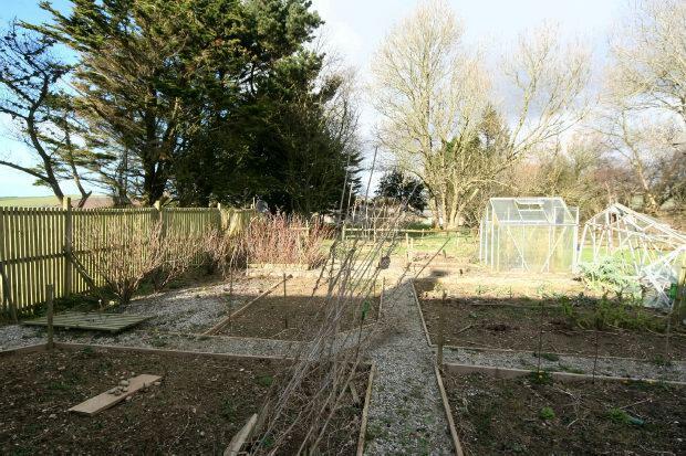 Garden 2