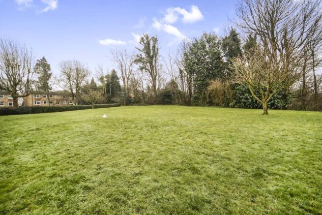 Grounds