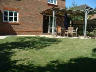 Garden Shot 3