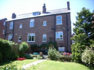 Rear Elevation