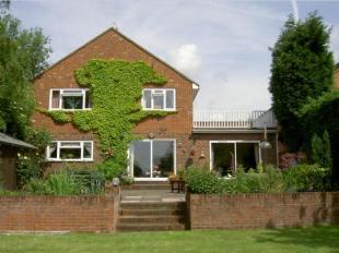 Rear View