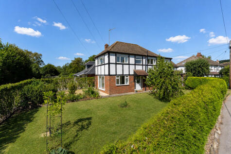 The Borough, Brockham