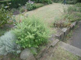 Front garden