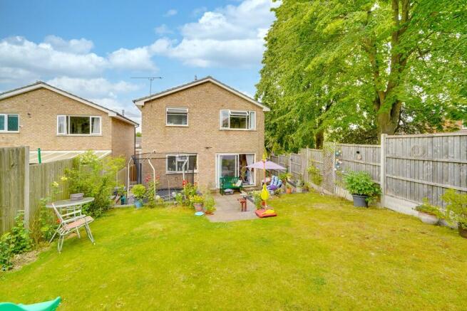 Back Garden