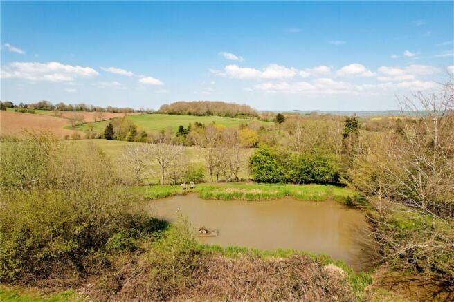 Pond