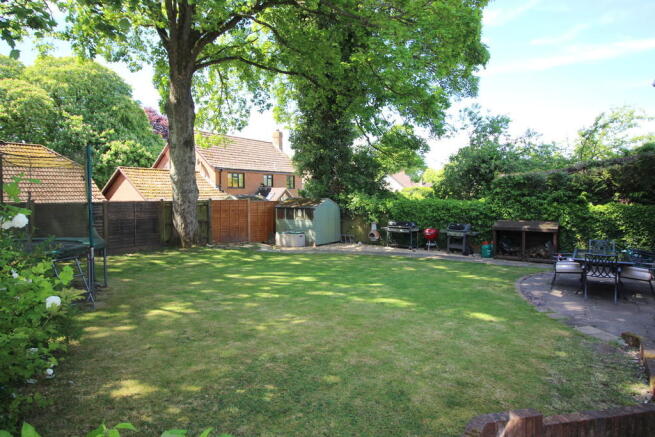 Photo 5