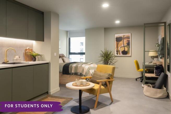 Roomy Studio Example