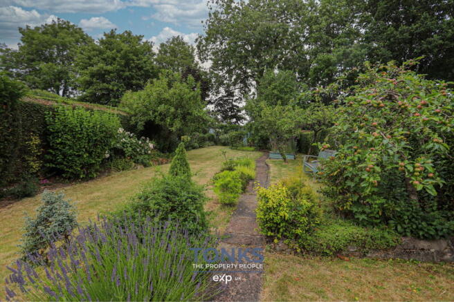 Photo 21