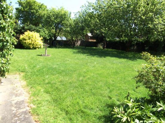 Garden 1