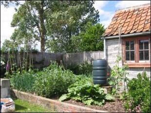 Veg plot