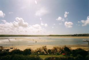 view from the house