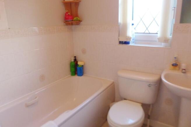 Picture 8