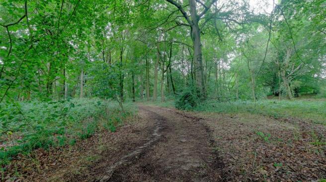 Entrance to the Private Woods 
