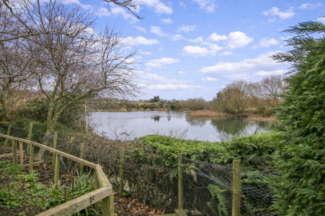 Serene pond by the weathered fence.png