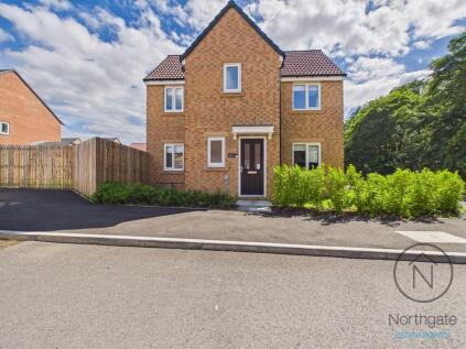 Alder Gardens, Newton Aycliffe, DL5