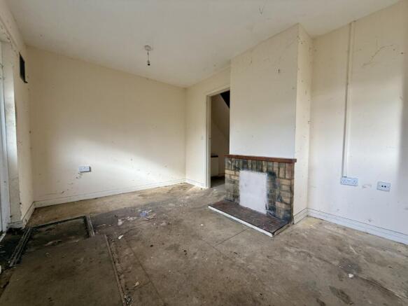 IMG 1099 T202602231617.jpg