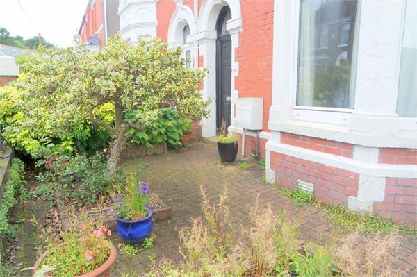Photo 16