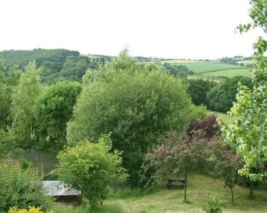 View from House