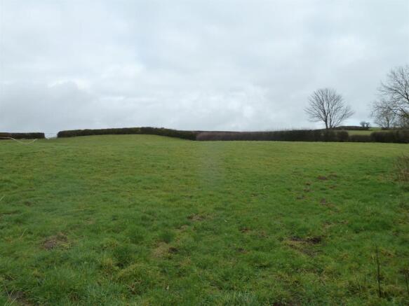 THE LAND