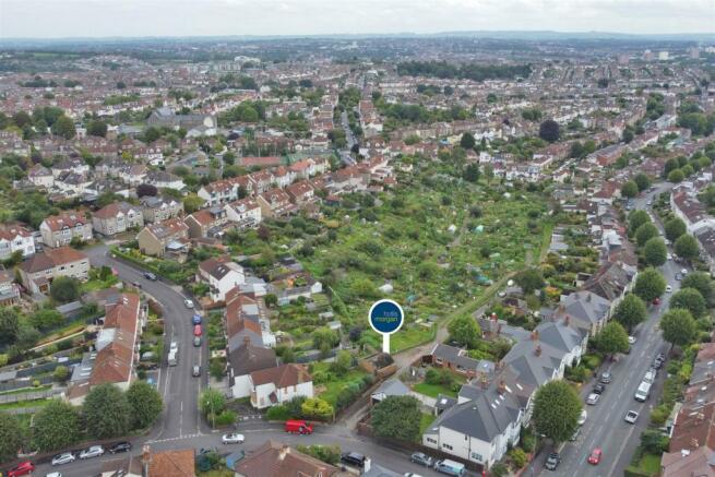 Hollis Morgan Auctions