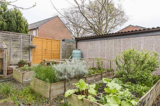 Veggie Plot