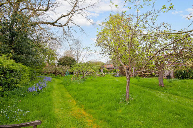 orchard