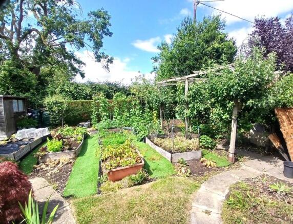 Garden 6.jpg