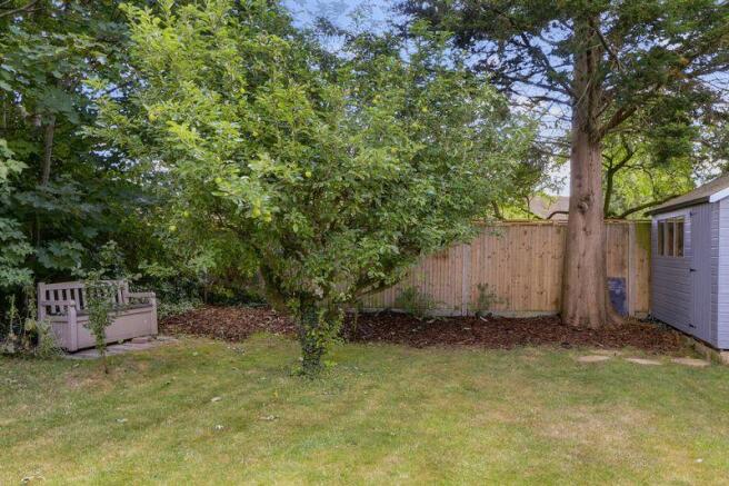 Shed Area